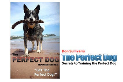  فیلم کامل آموزش سگ The Perfect Dog Training System Completed